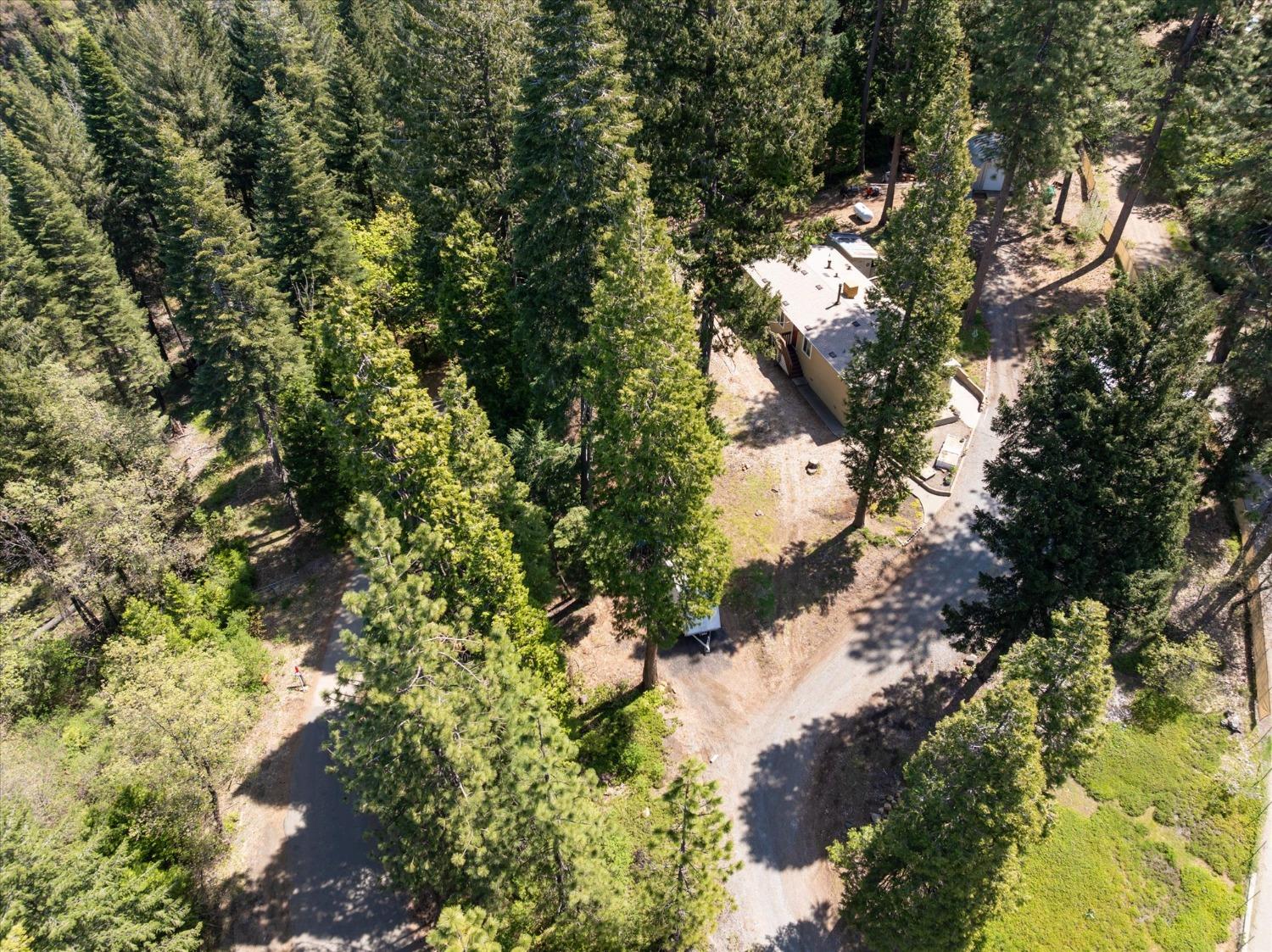 Pony Express Trail, Pollock Pines, California image 32
