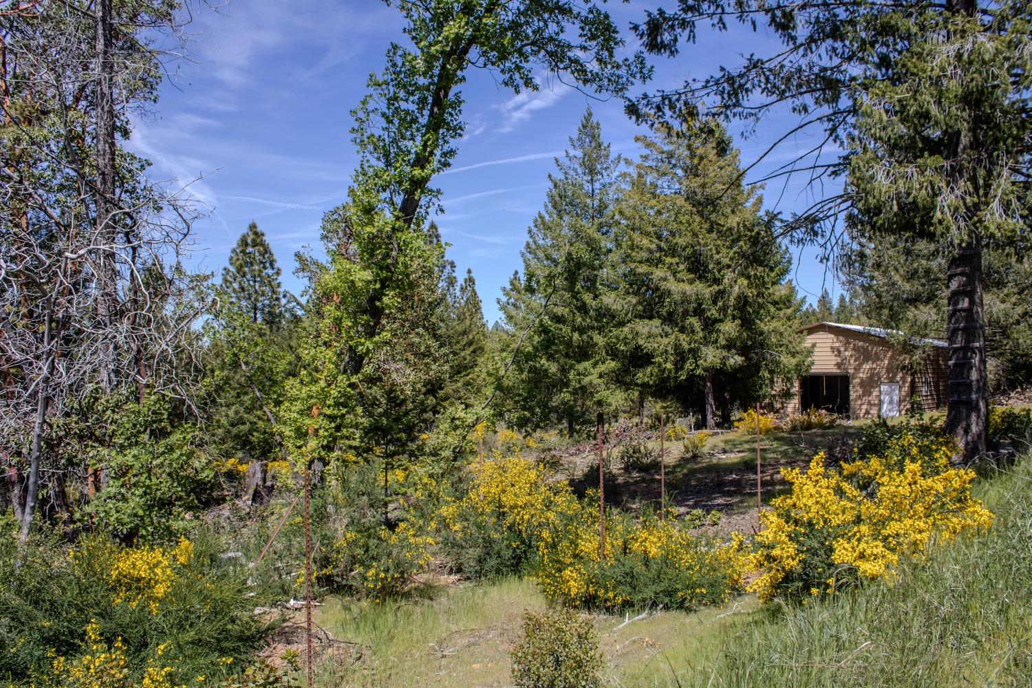 Detail Gallery Image 38 of 96 For 5734 Wilder Rd, Georgetown,  CA 95634 - – Beds | – Baths