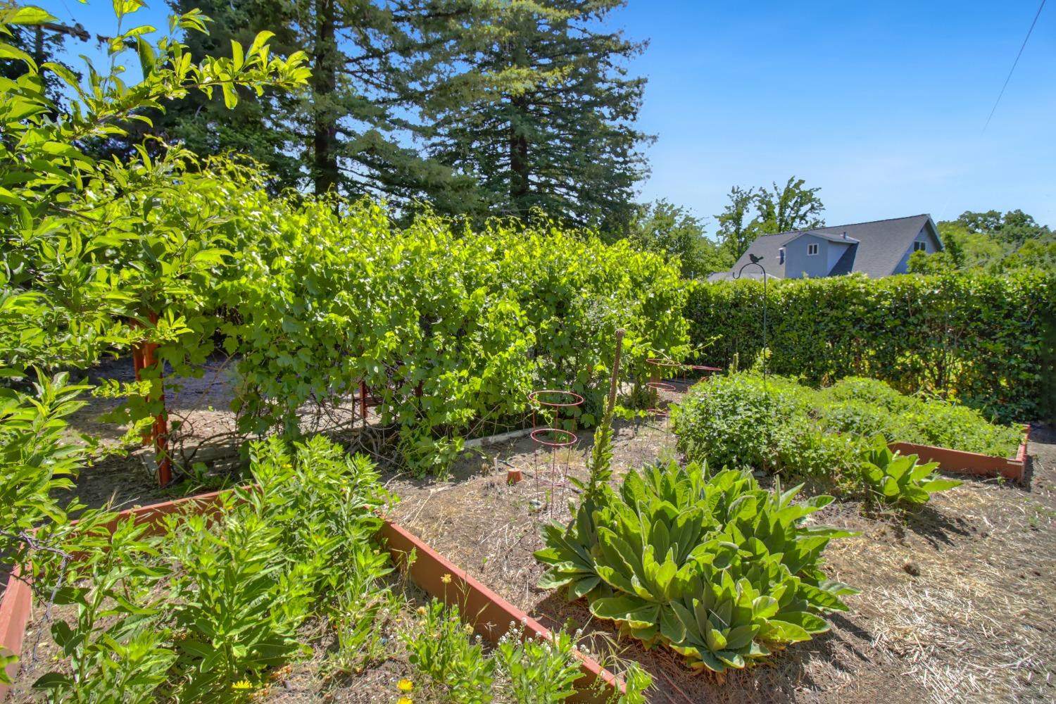 Detail Gallery Image 62 of 73 For 1837 Drew Ct, Carmichael,  CA 95608 - 4 Beds | 2 Baths