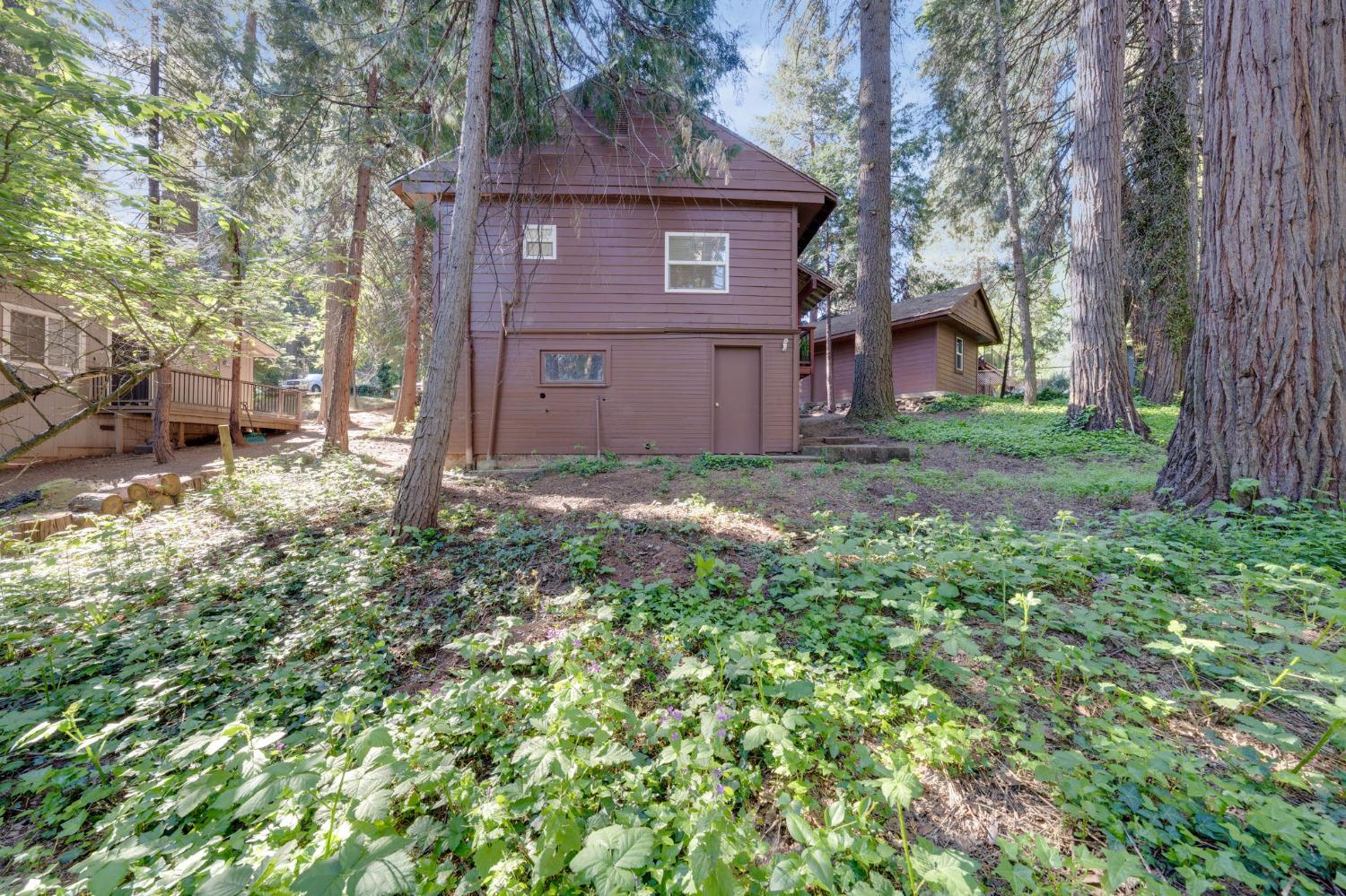Loyal Lane, Pollock Pines, California image 23