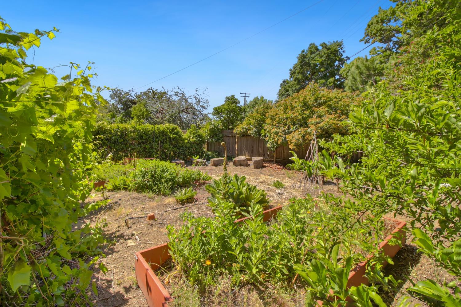 Detail Gallery Image 63 of 73 For 1837 Drew Ct, Carmichael,  CA 95608 - 4 Beds | 2 Baths