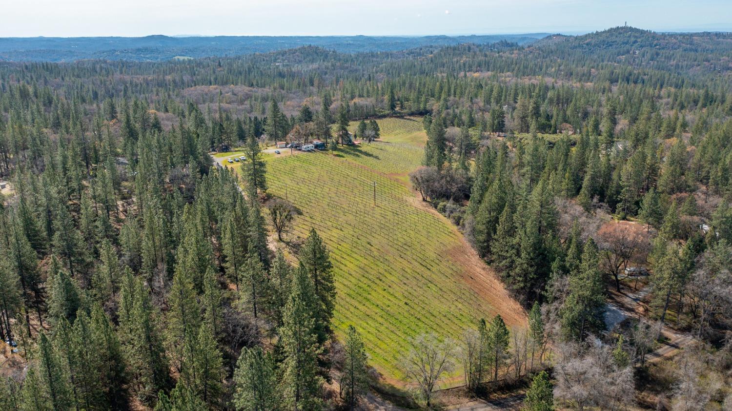 Detail Gallery Image 62 of 71 For 4771 Greenhills Rd, Placerville,  CA 95667 - – Beds | – Baths