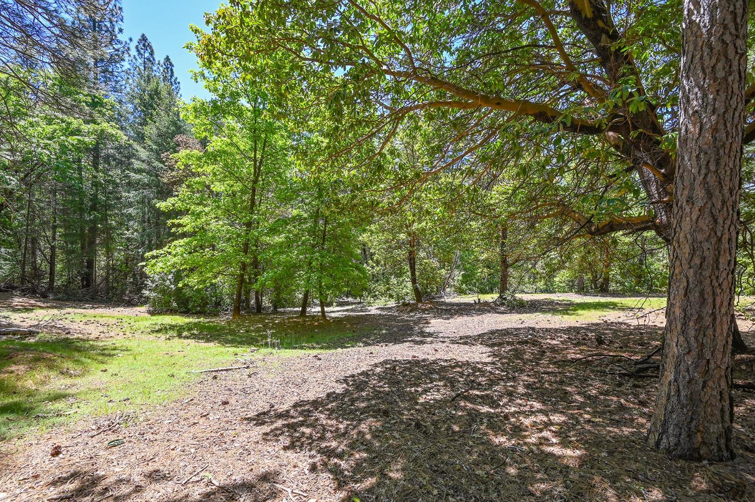 Buckeye Court, Placerville, California image 43