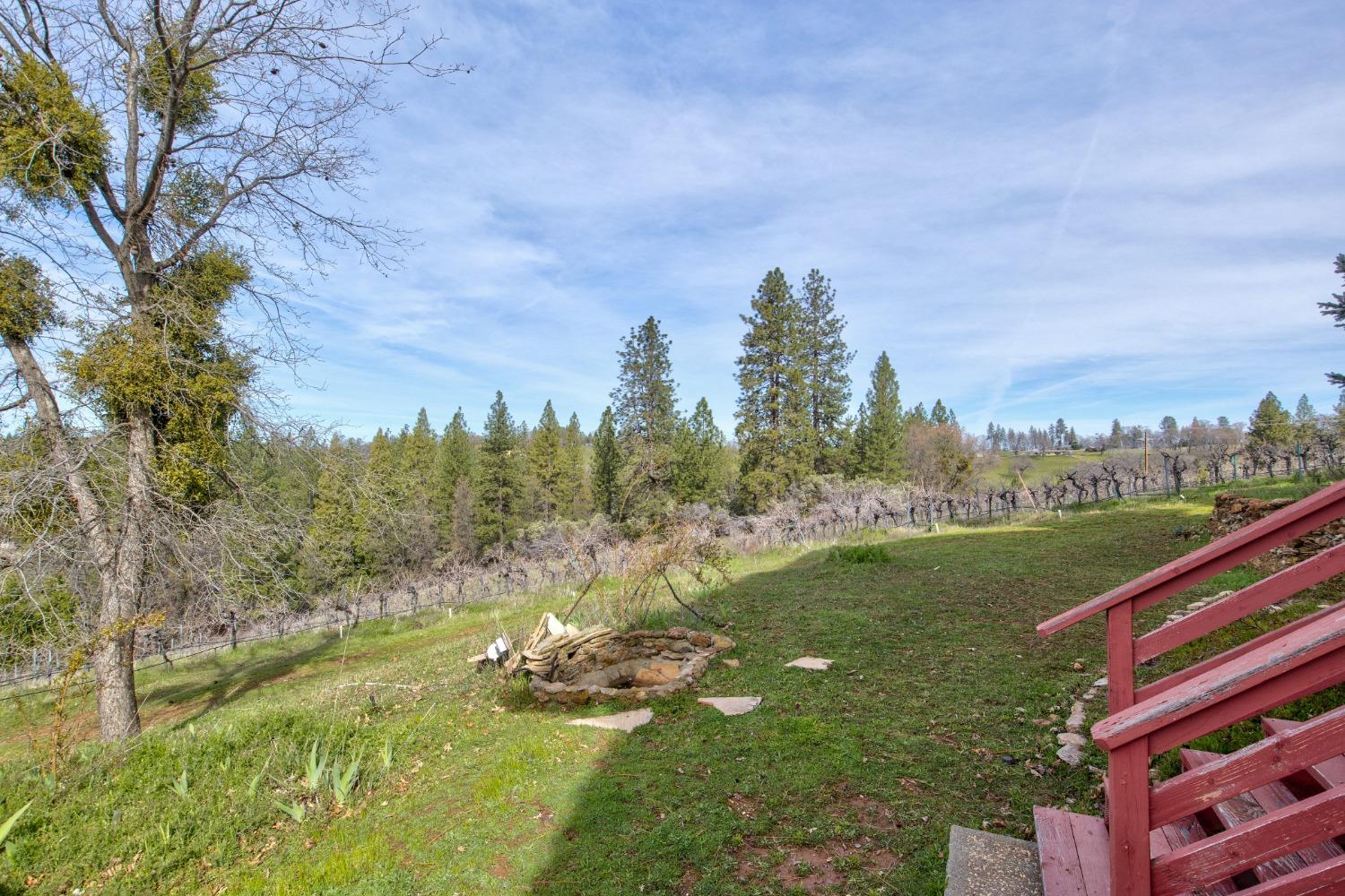Detail Gallery Image 37 of 71 For 4771 Greenhills Rd, Placerville,  CA 95667 - – Beds | – Baths