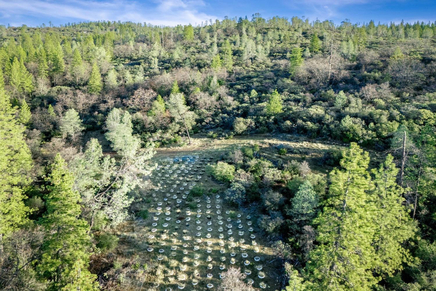 Deadmans Flat Road, Grass Valley, California image 31