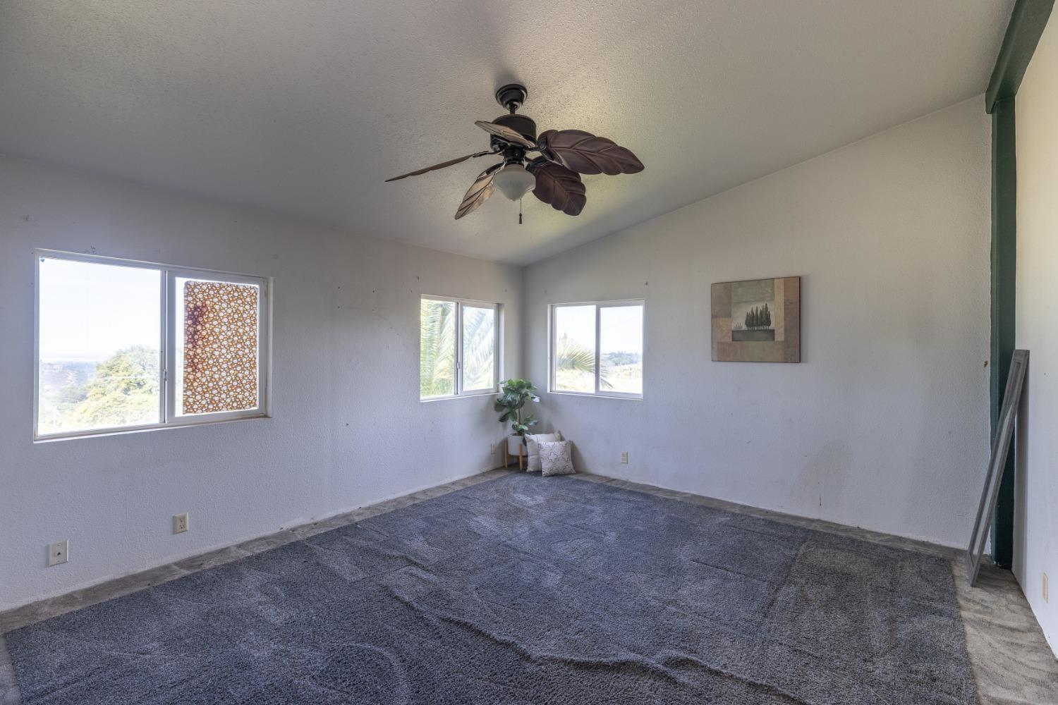 Bunzie Road, Rescue, California image 8