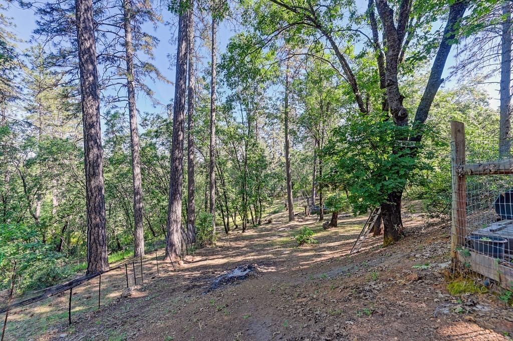 Detail Gallery Image 42 of 54 For 21855 Digger Pine Ln, Colfax,  CA 95713 - 3 Beds | 2 Baths