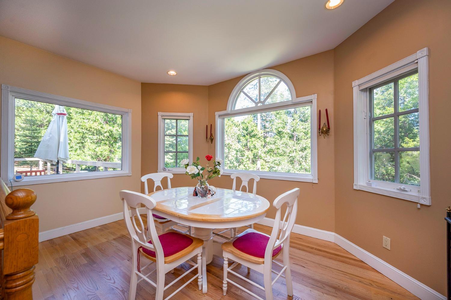 Dio Linda Court, Pollock Pines, California image 9
