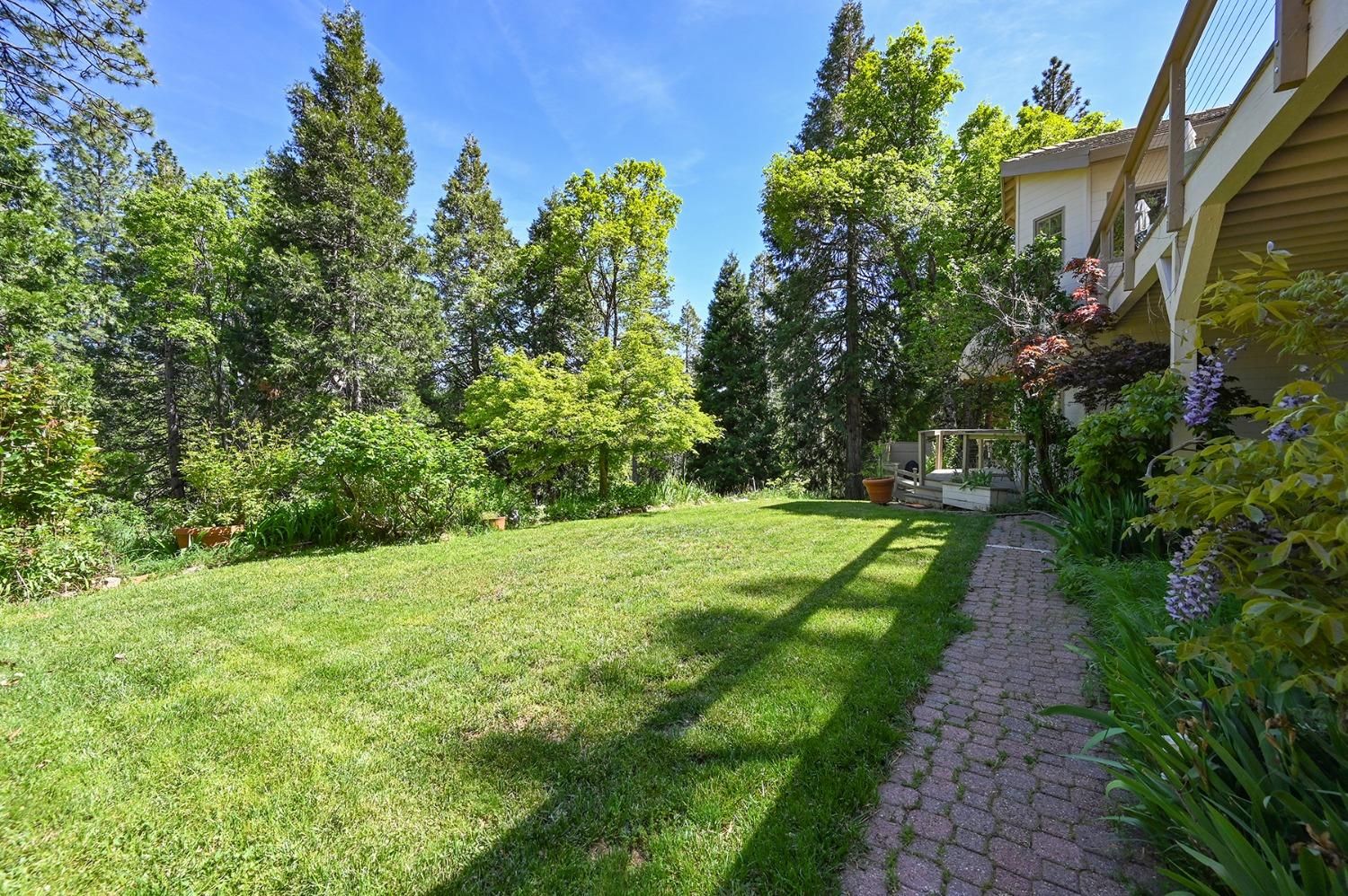 Dio Linda Court, Pollock Pines, California image 14