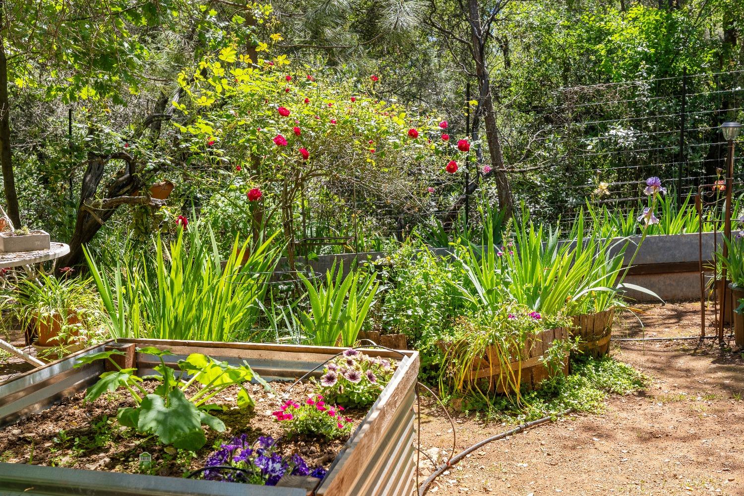 Detail Gallery Image 57 of 67 For 4651 Pilot Creek Ln, Pilot Hill,  CA 95664 - 3 Beds | 2 Baths