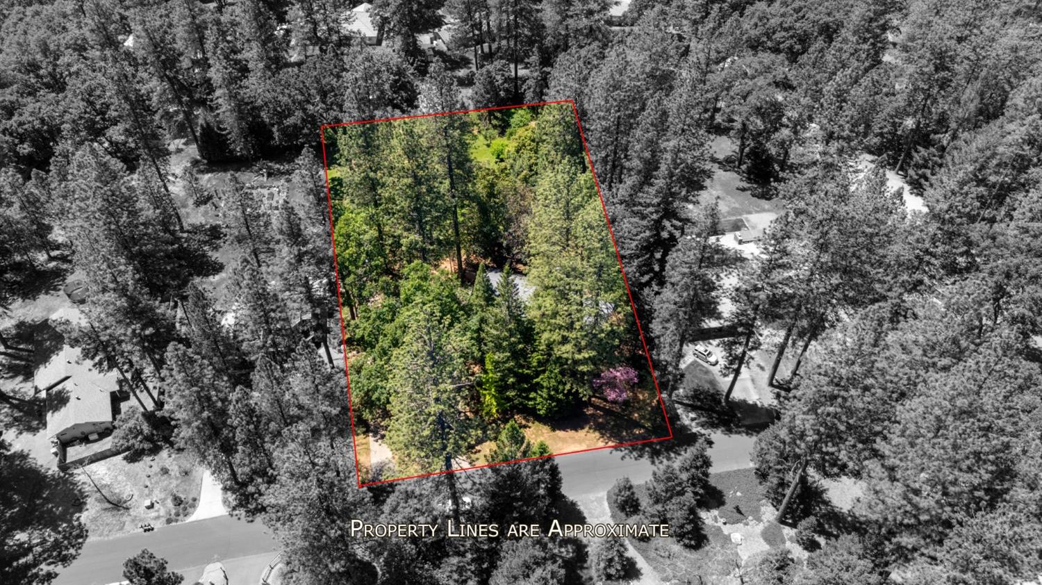 Detail Gallery Image 49 of 50 For 6420 Longridge Ct, Foresthill,  CA 95631 - 4 Beds | 3 Baths