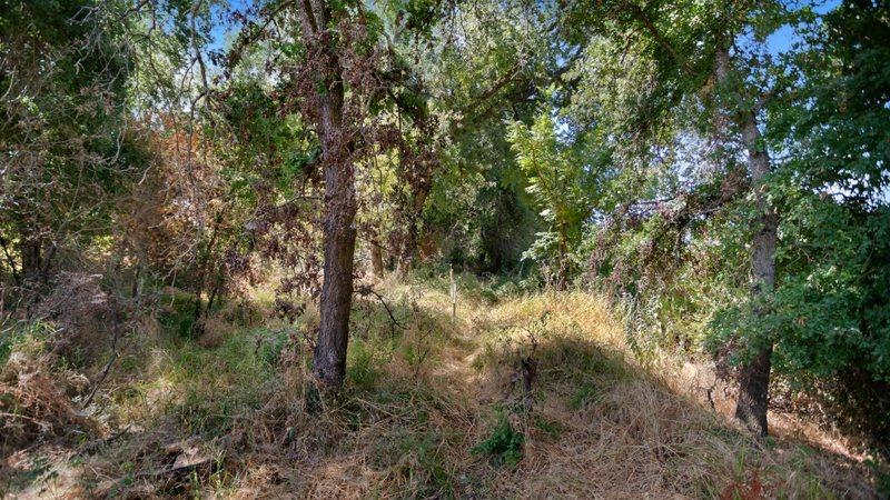 Detail Gallery Image 5 of 7 For 0 Garden Hwy, Sacramento,  CA 95837 - – Beds | – Baths