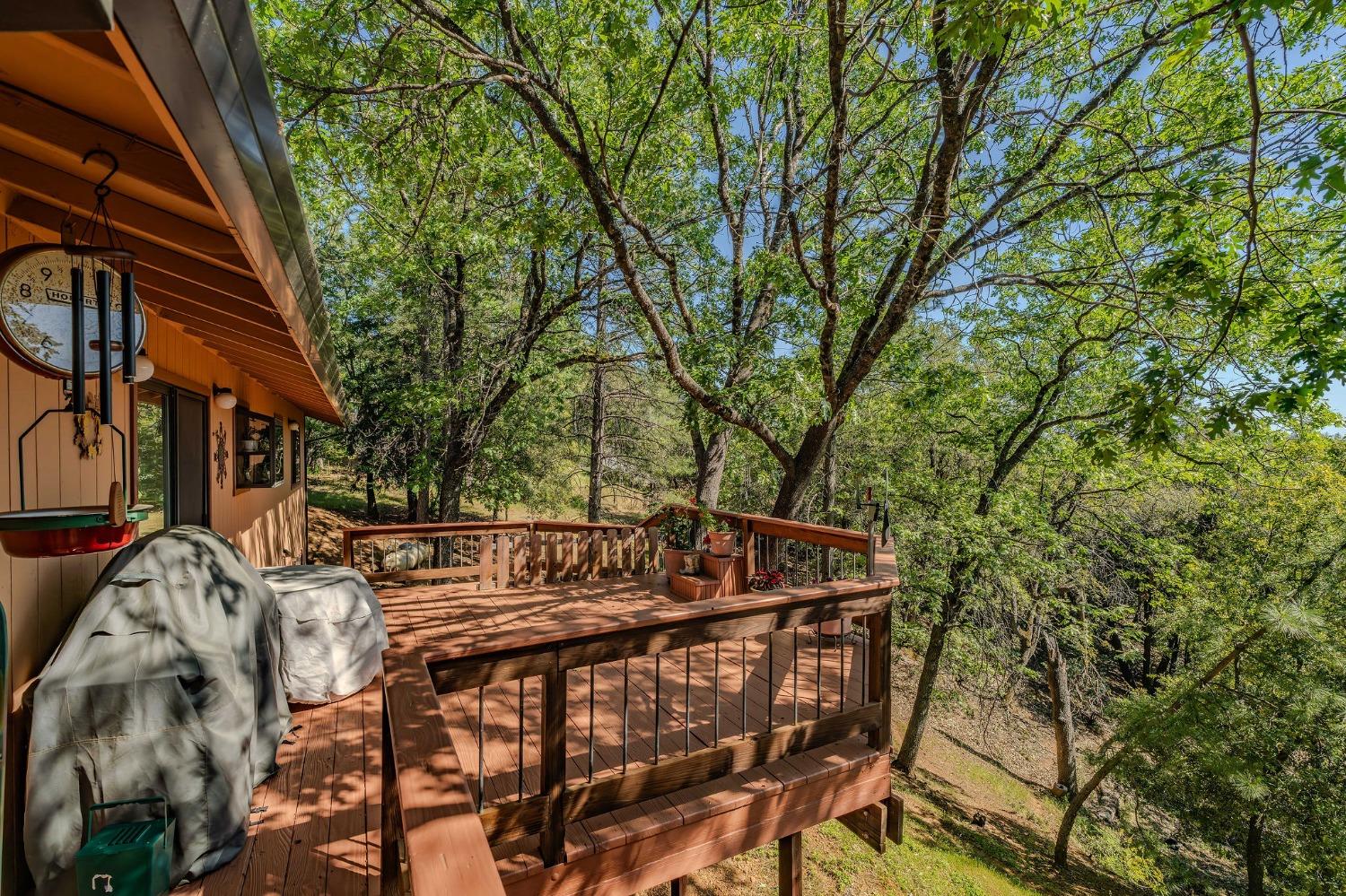 Detail Gallery Image 19 of 73 For 13771 West Ct, Pine Grove,  CA 95665 - 3 Beds | 2 Baths
