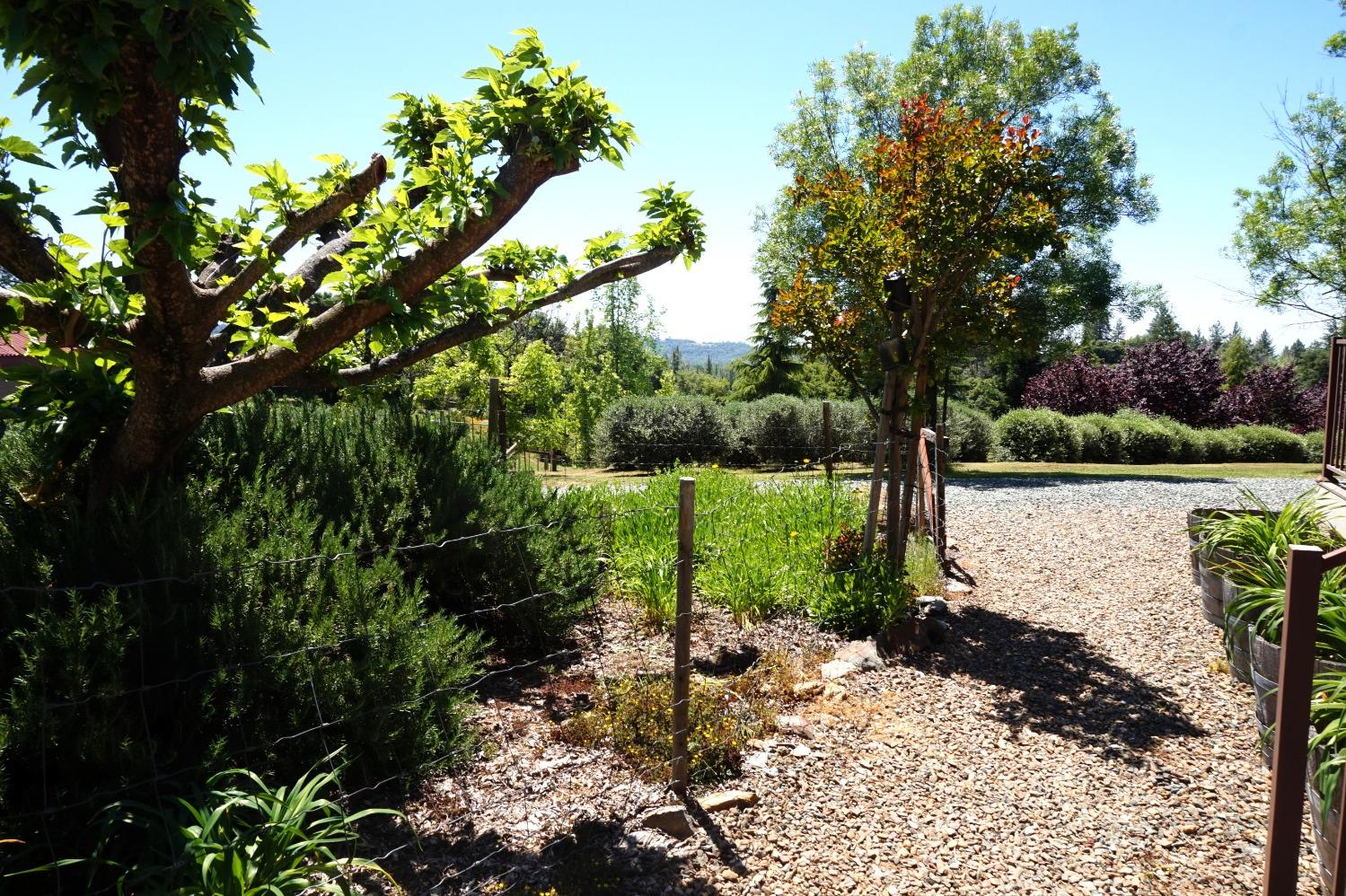 Detail Gallery Image 37 of 65 For 18145 Holly Rd, Fiddletown,  CA 95629 - 3 Beds | 2 Baths
