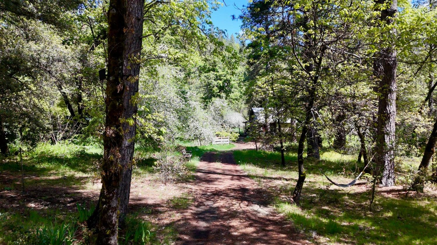 Detail Gallery Image 18 of 39 For Address Is Not Disclosed, Nevada City,  CA 95959 - – Beds | – Baths