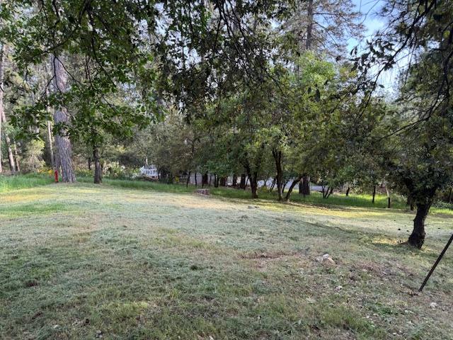 Siems Avenue #15 SU, Colfax, California image 25