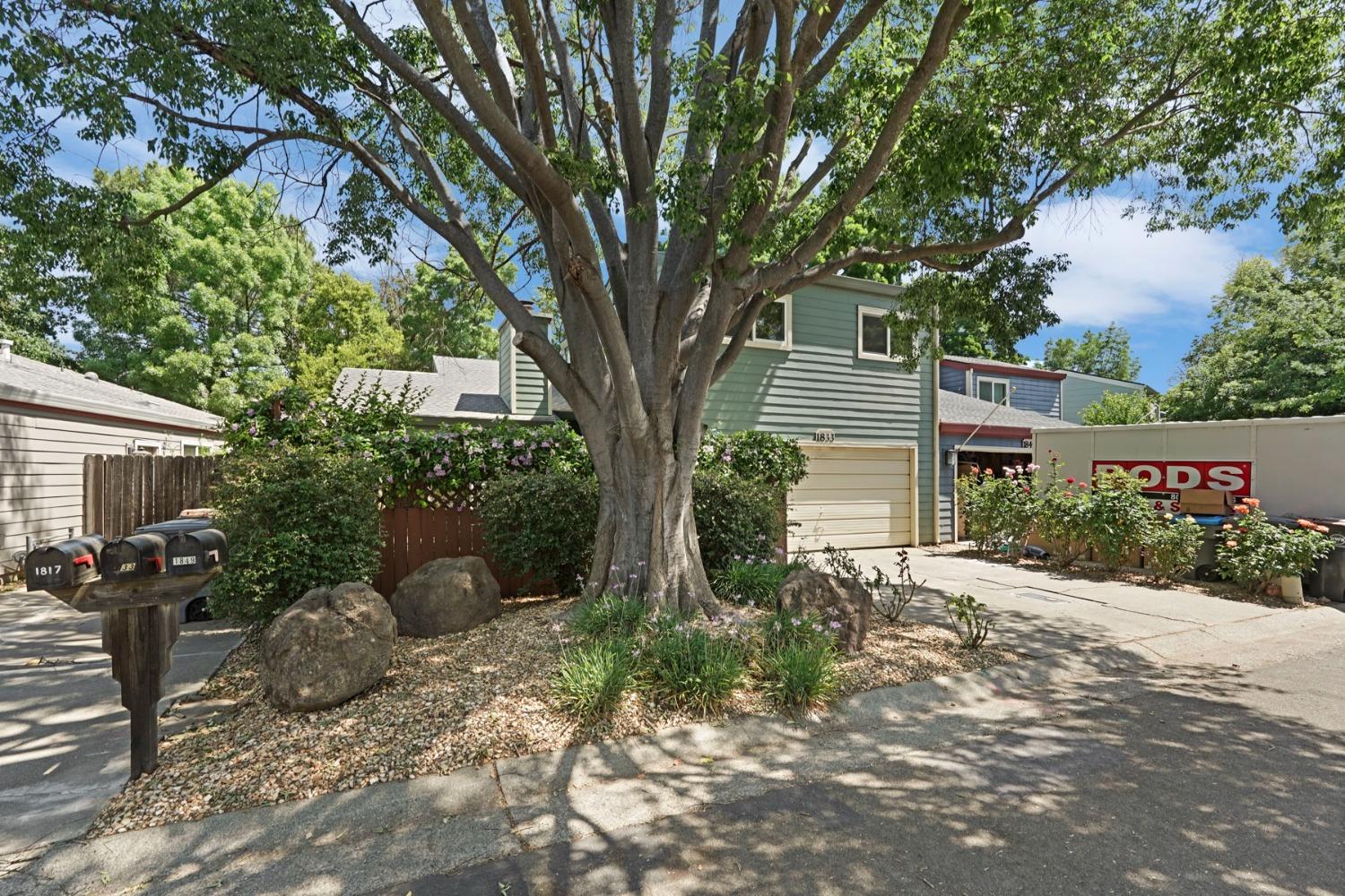 Renoir Avenue, Davis, California image 3