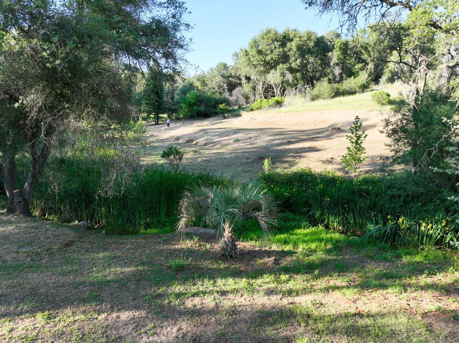 Marcos Lane, Marysville, California image 8