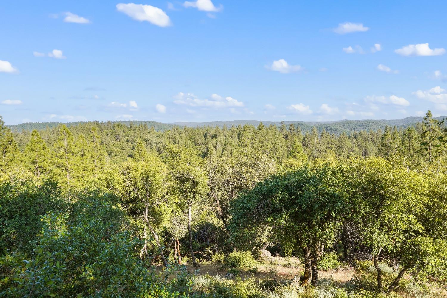 Detail Gallery Image 93 of 99 For 500 Hilltop Ct, Applegate,  CA 95703 - 3 Beds | 2/1 Baths