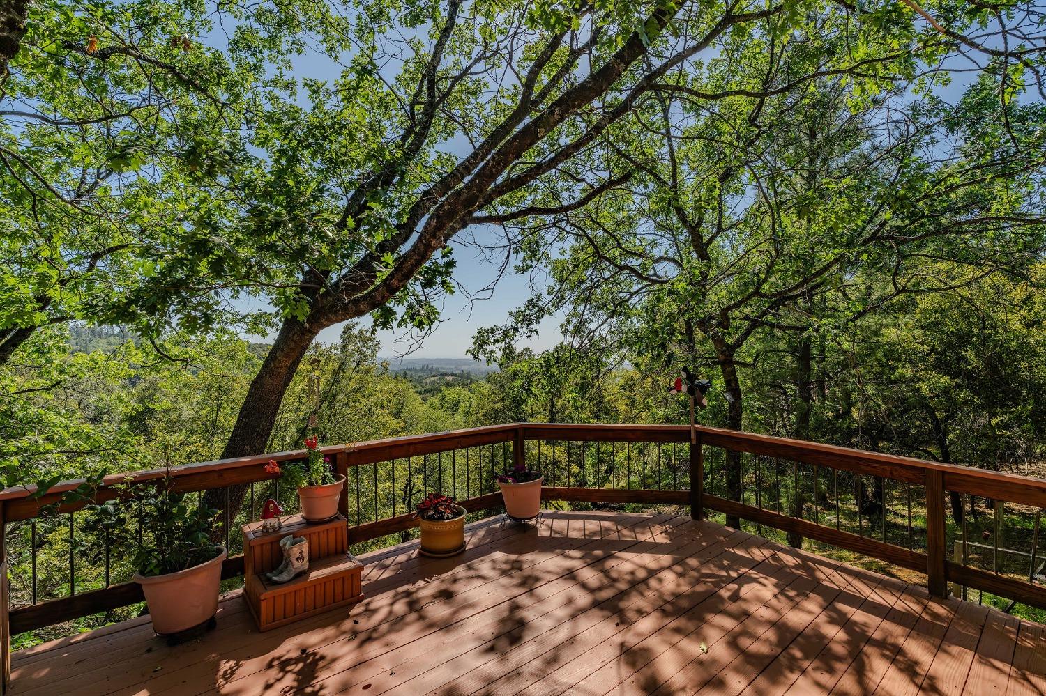 Detail Gallery Image 20 of 73 For 13771 West Ct, Pine Grove,  CA 95665 - 3 Beds | 2 Baths