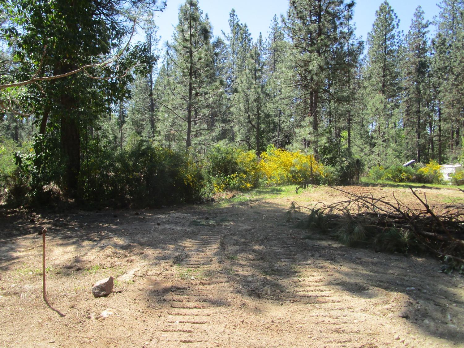 Detail Gallery Image 8 of 10 For 16289 Badger Hill Rd, Nevada City,  CA 95959 - – Beds | – Baths