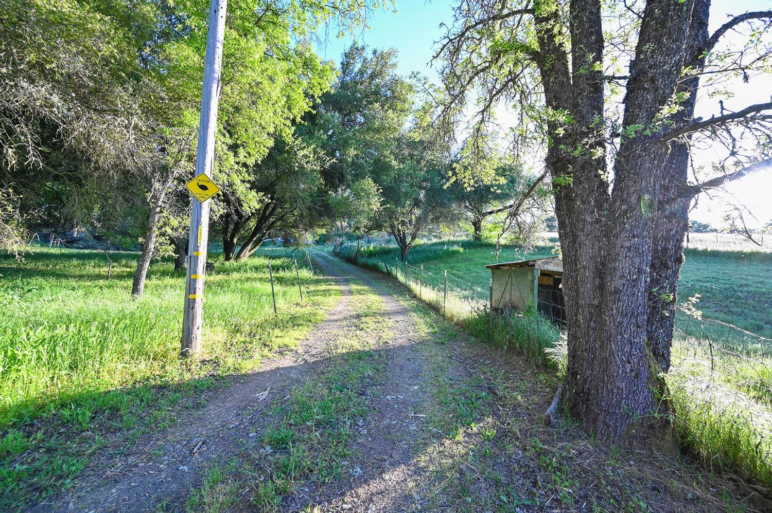 Detail Gallery Image 33 of 70 For 13930 Fiddletown Rd, Fiddletown,  CA 95629 - 3 Beds | 2/1 Baths