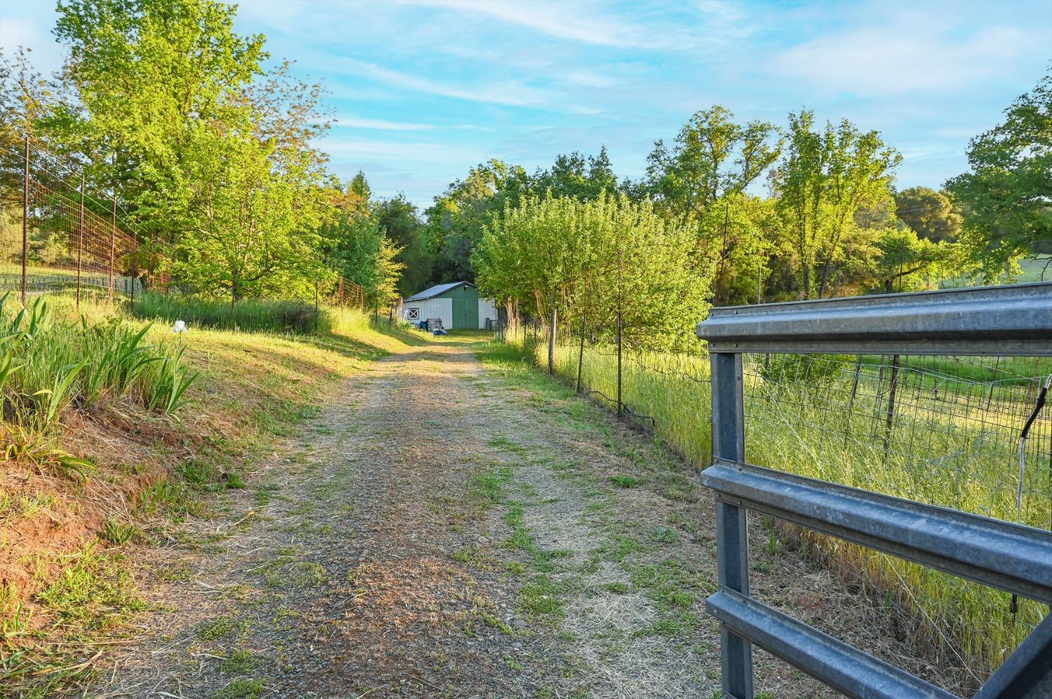 Detail Gallery Image 4 of 70 For 13930 Fiddletown Rd, Fiddletown,  CA 95629 - 3 Beds | 2/1 Baths
