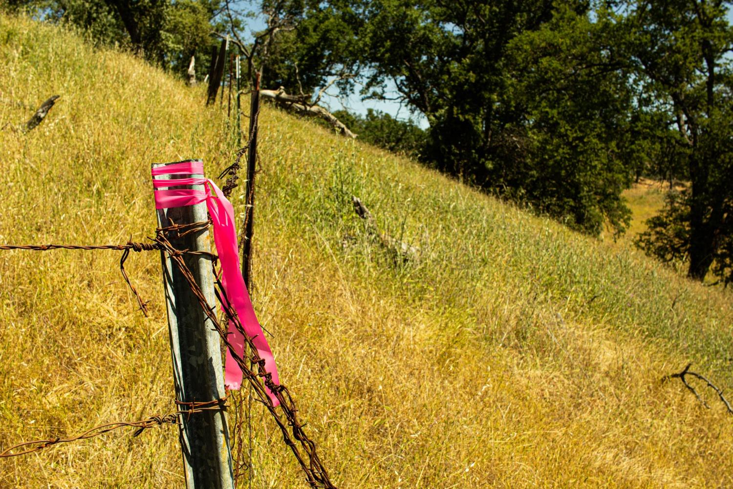 Detail Gallery Image 12 of 26 For 3070 State Hwy 132, La Grange,  CA 95329 - – Beds | – Baths