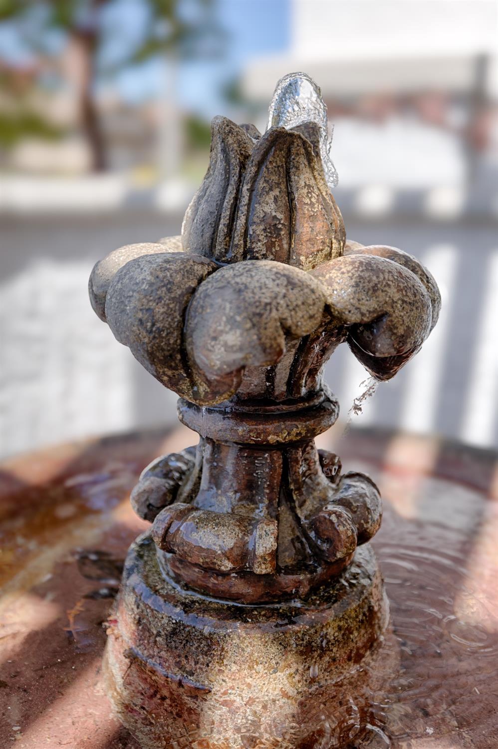 Detail Gallery Image 11 of 61 For 839 Wagon Wheel Ln, Lincoln,  CA 95648 - 2 Beds | 2/1 Baths
