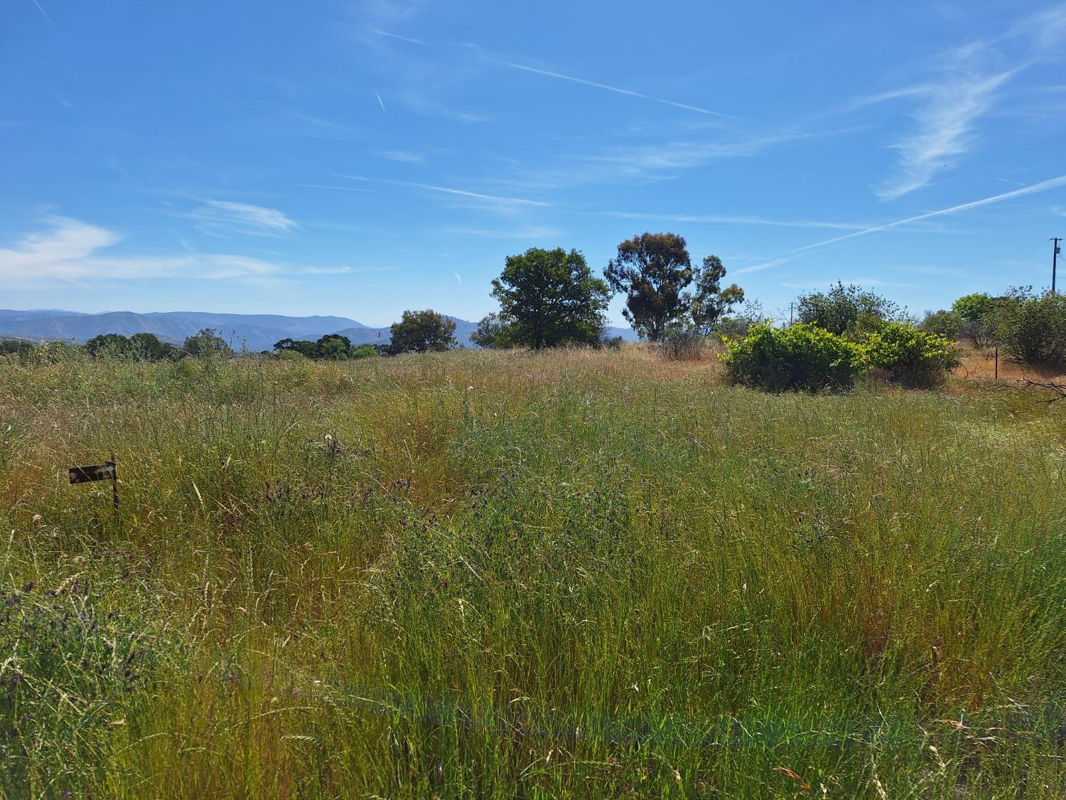 Picadero Way, La Grange, California image 3