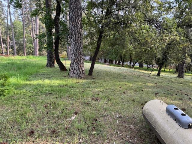 Siems Avenue #15 SU, Colfax, California image 26