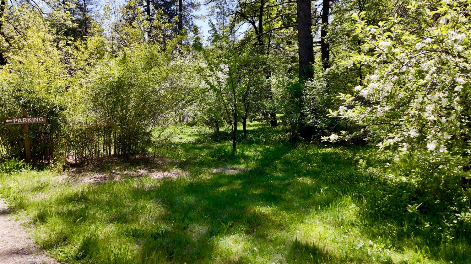 Detail Gallery Image 7 of 39 For Address Is Not Disclosed, Nevada City,  CA 95959 - – Beds | – Baths