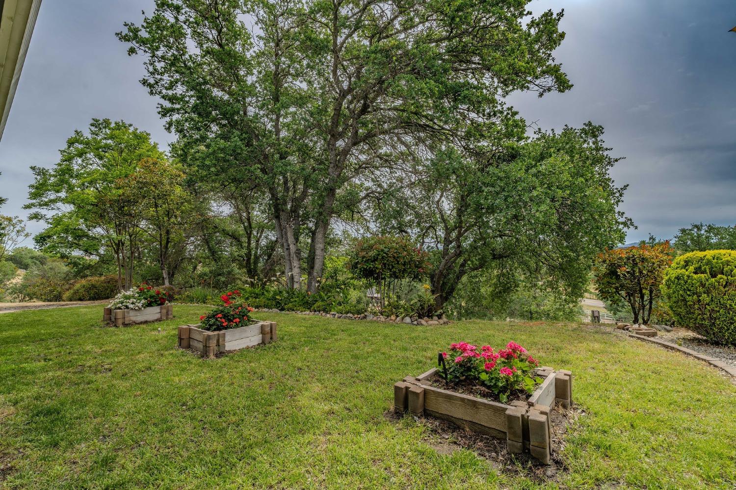 Detail Gallery Image 75 of 79 For 102 Brandy Ct, Valley Springs,  CA 95252 - 3 Beds | 2/1 Baths