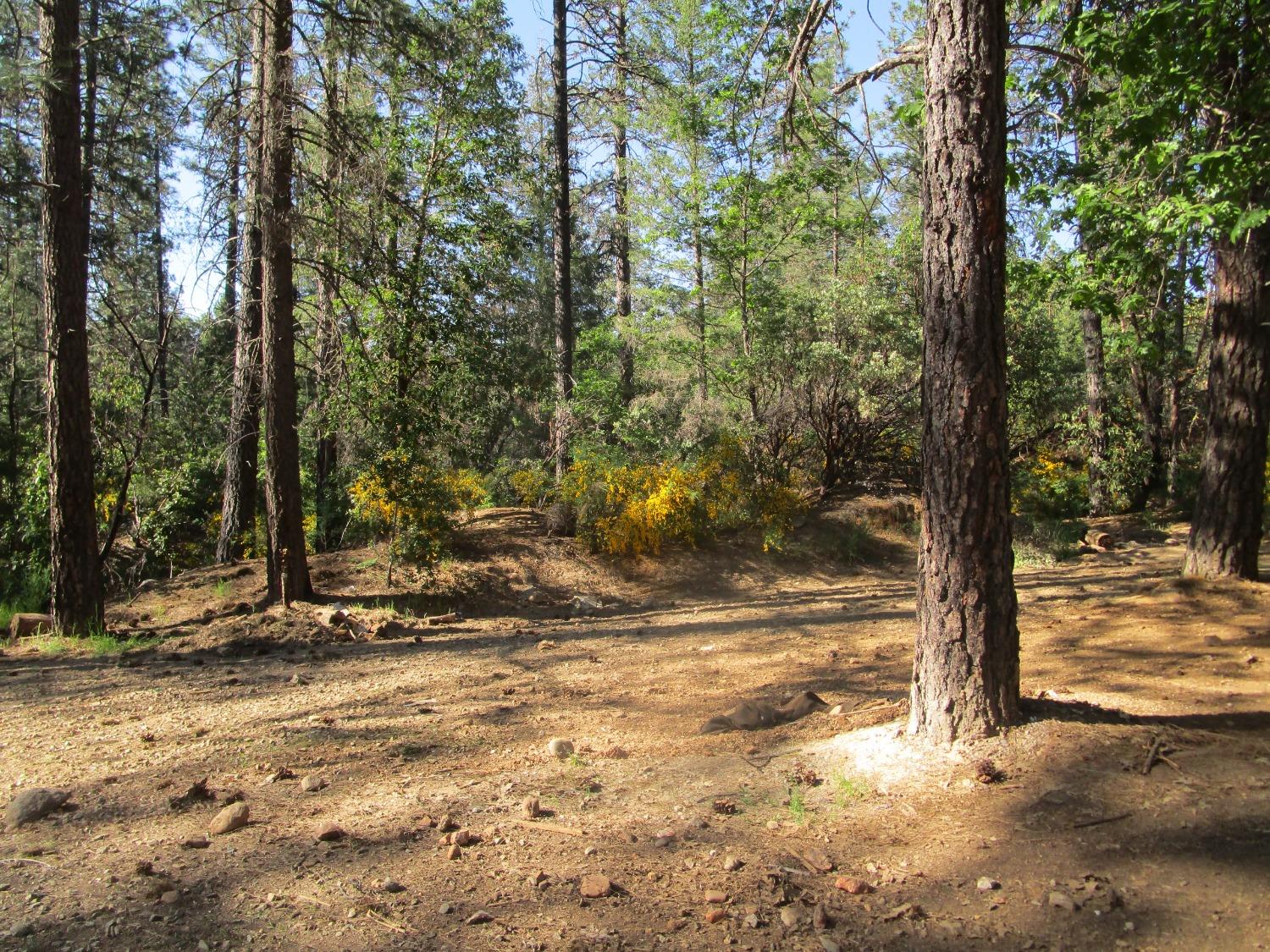 Detail Gallery Image 5 of 10 For 16289 Badger Hill Rd, Nevada City,  CA 95959 - – Beds | – Baths
