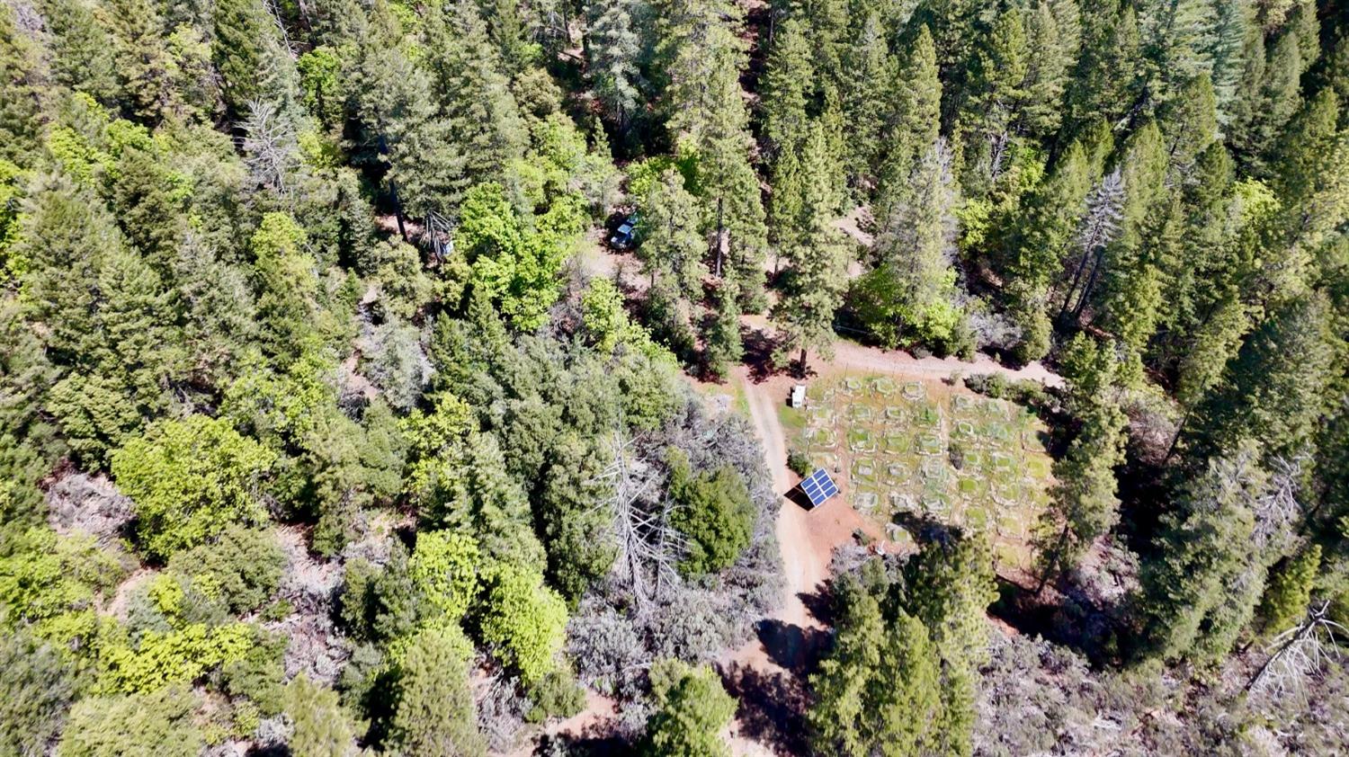 Detail Gallery Image 15 of 39 For Address Is Not Disclosed, Nevada City,  CA 95959 - – Beds | – Baths