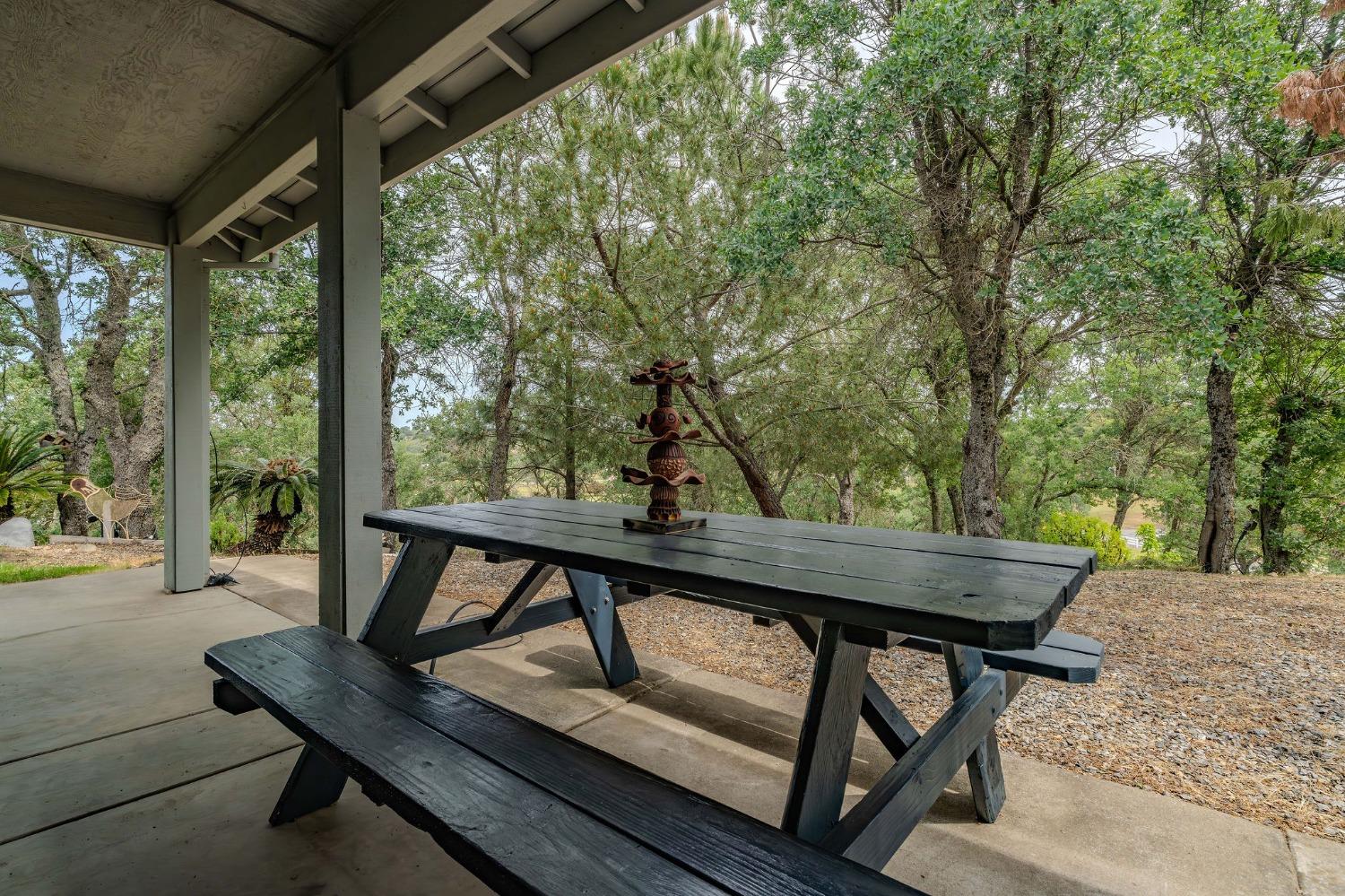 Detail Gallery Image 60 of 79 For 102 Brandy Ct, Valley Springs,  CA 95252 - 3 Beds | 2/1 Baths