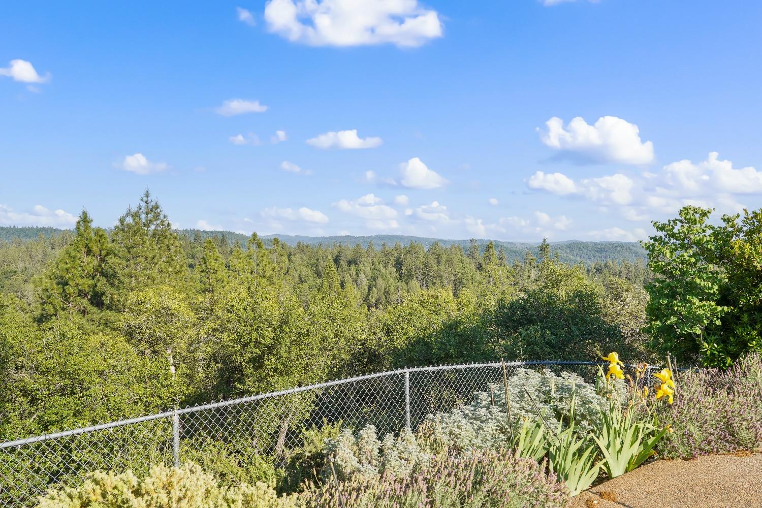 Detail Gallery Image 88 of 99 For 500 Hilltop Ct, Applegate,  CA 95703 - 3 Beds | 2/1 Baths