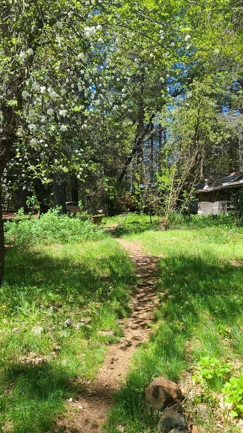 Detail Gallery Image 39 of 39 For Address Is Not Disclosed, Nevada City,  CA 95959 - – Beds | – Baths