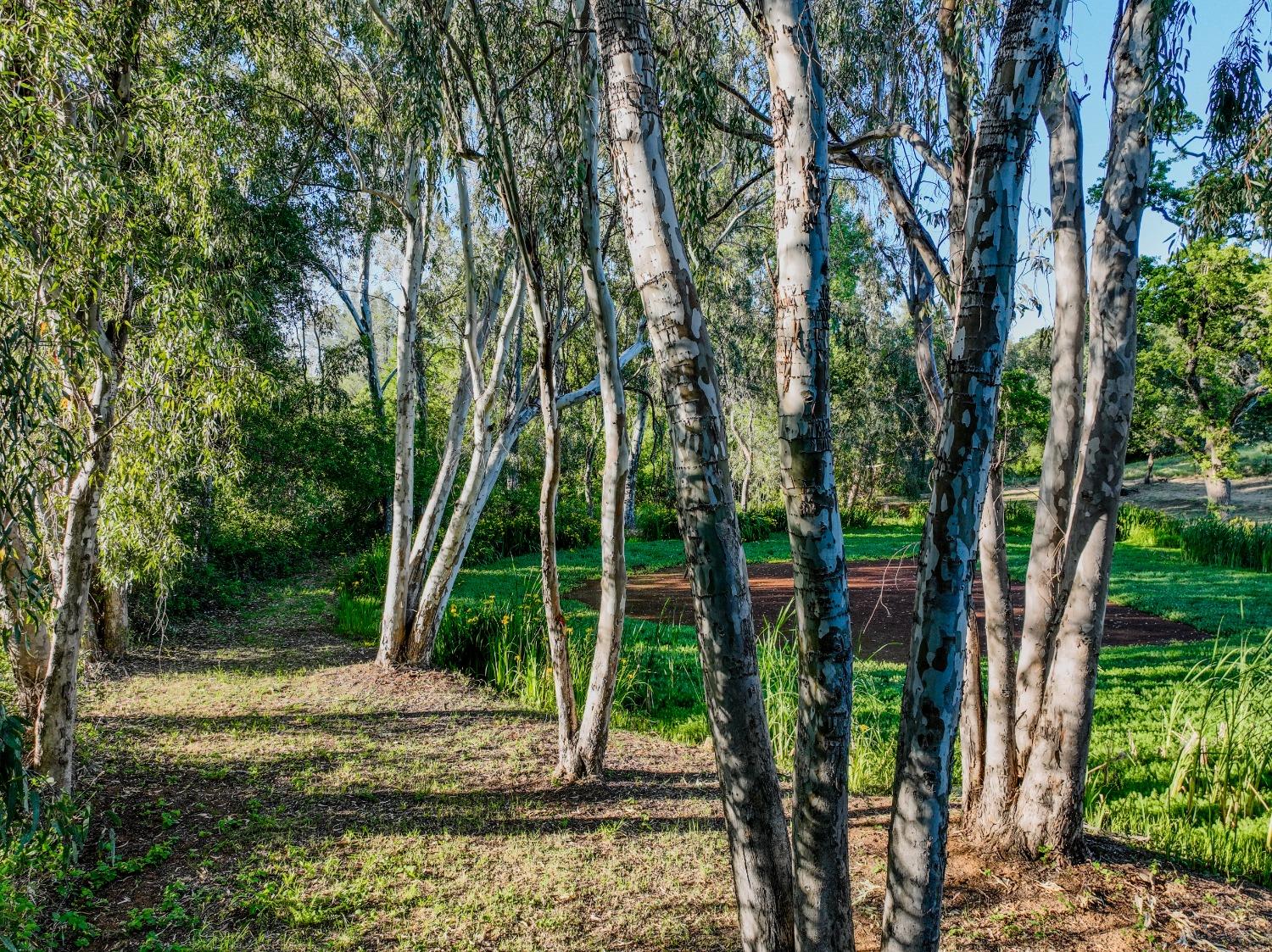 Marcos Lane, Marysville, California image 6