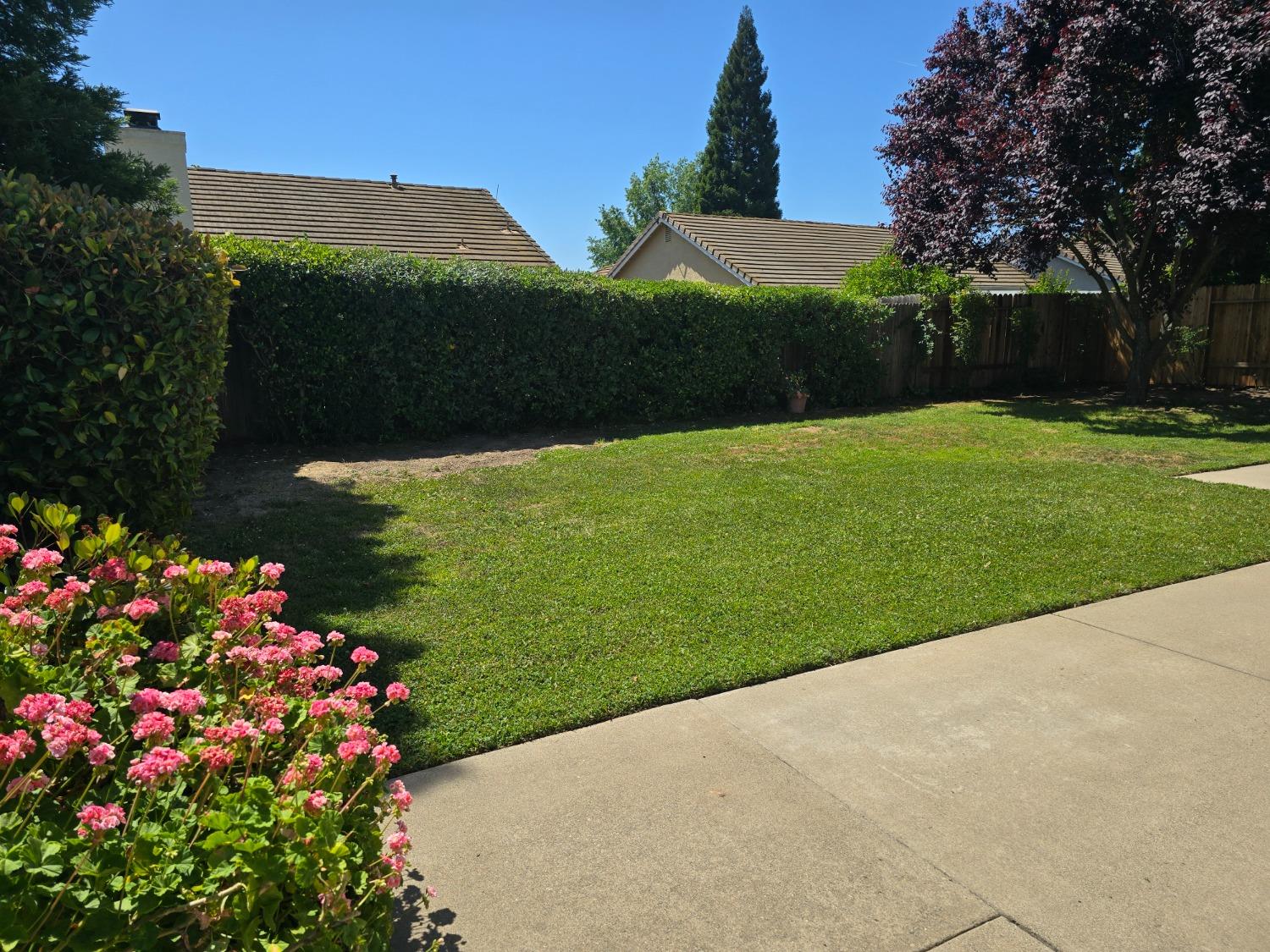 Fitzgerald Way, Roseville, California image 11