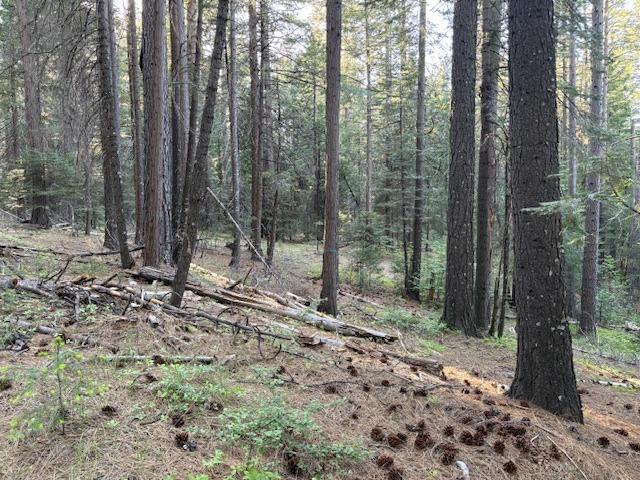 Double Rainbow Rd, Nevada City, California image 5