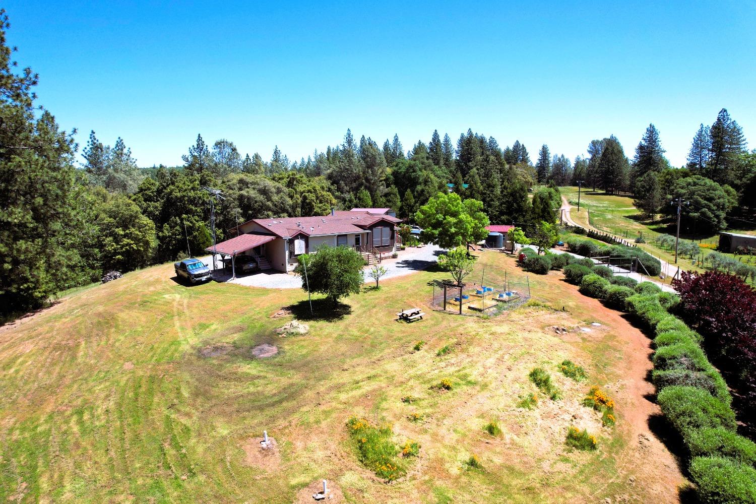 Detail Gallery Image 42 of 65 For 18145 Holly Rd, Fiddletown,  CA 95629 - 3 Beds | 2 Baths