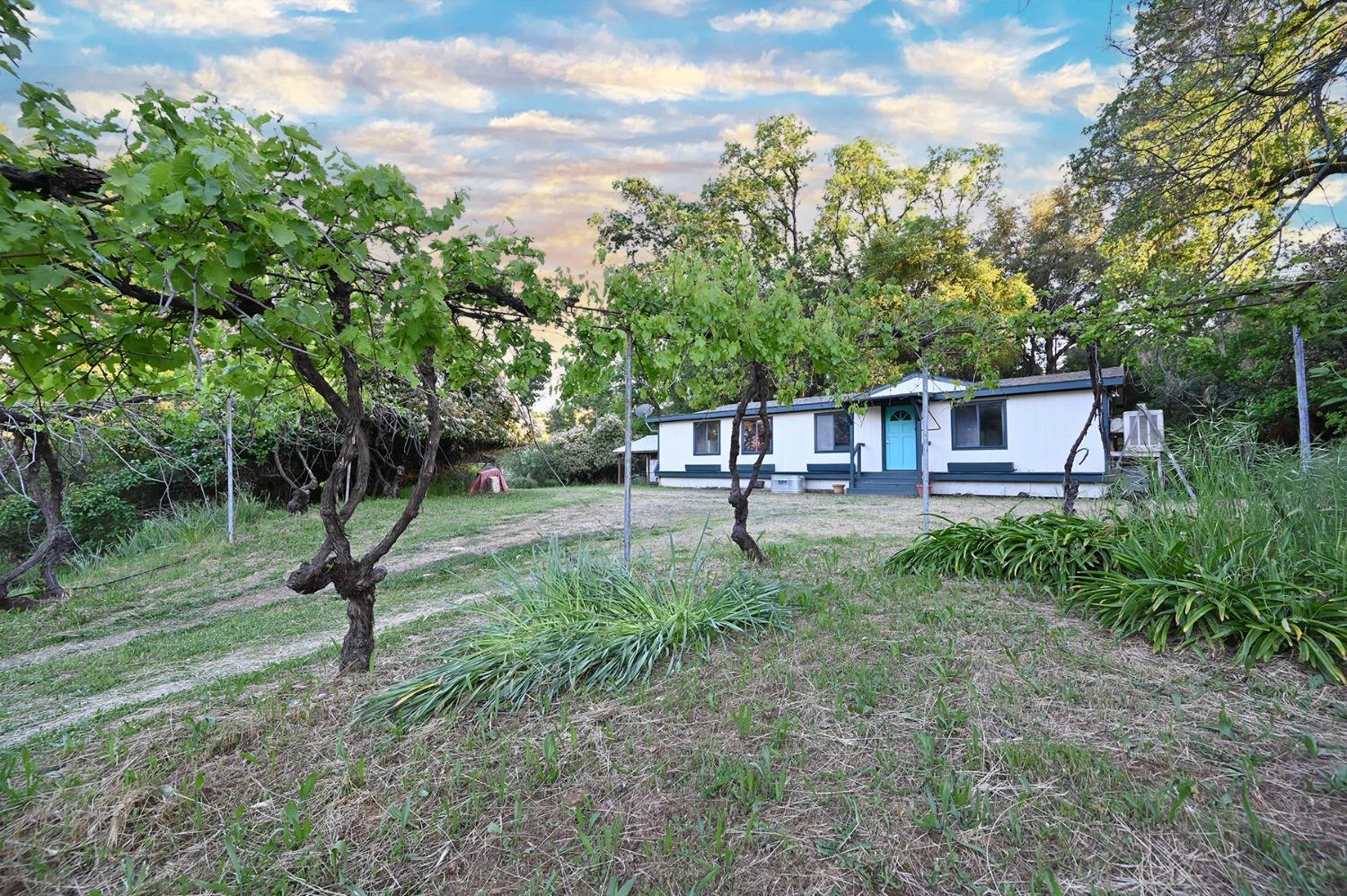 Detail Gallery Image 1 of 70 For 13930 Fiddletown Rd, Fiddletown,  CA 95629 - 3 Beds | 2/1 Baths