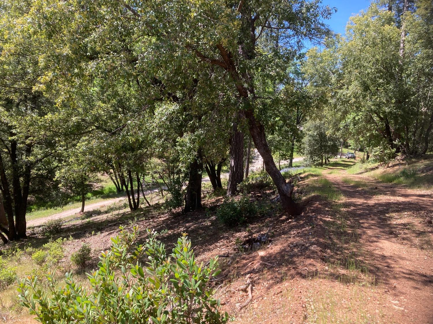 Detail Gallery Image 34 of 83 For 16688 Sonshine Ln, Sutter Creek,  CA 95685 - – Beds | – Baths