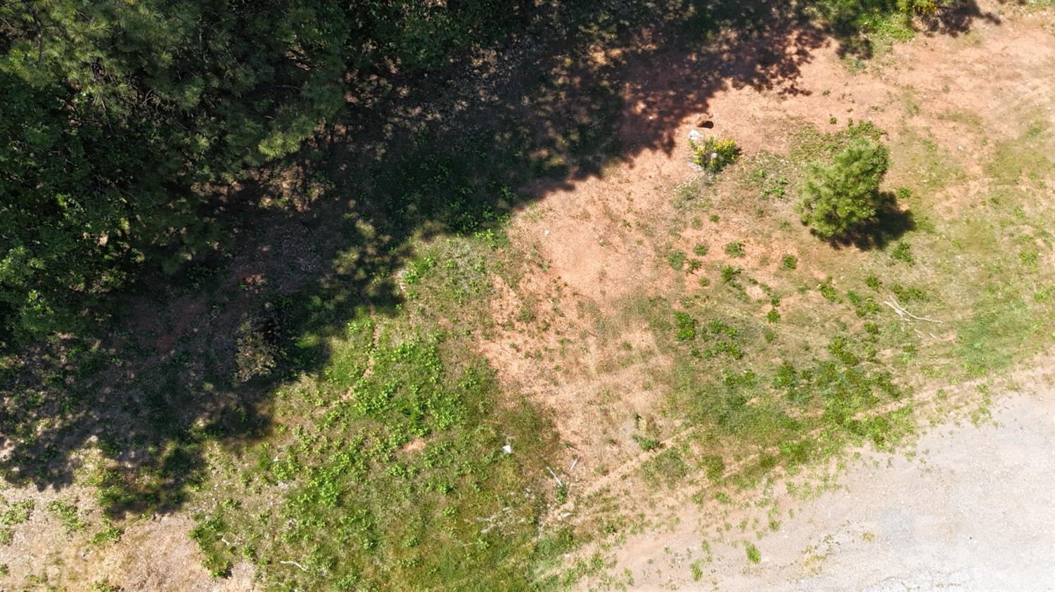 Detail Gallery Image 10 of 14 For 15156 State Highway 49, Grass Valley,  CA 95949 - – Beds | – Baths