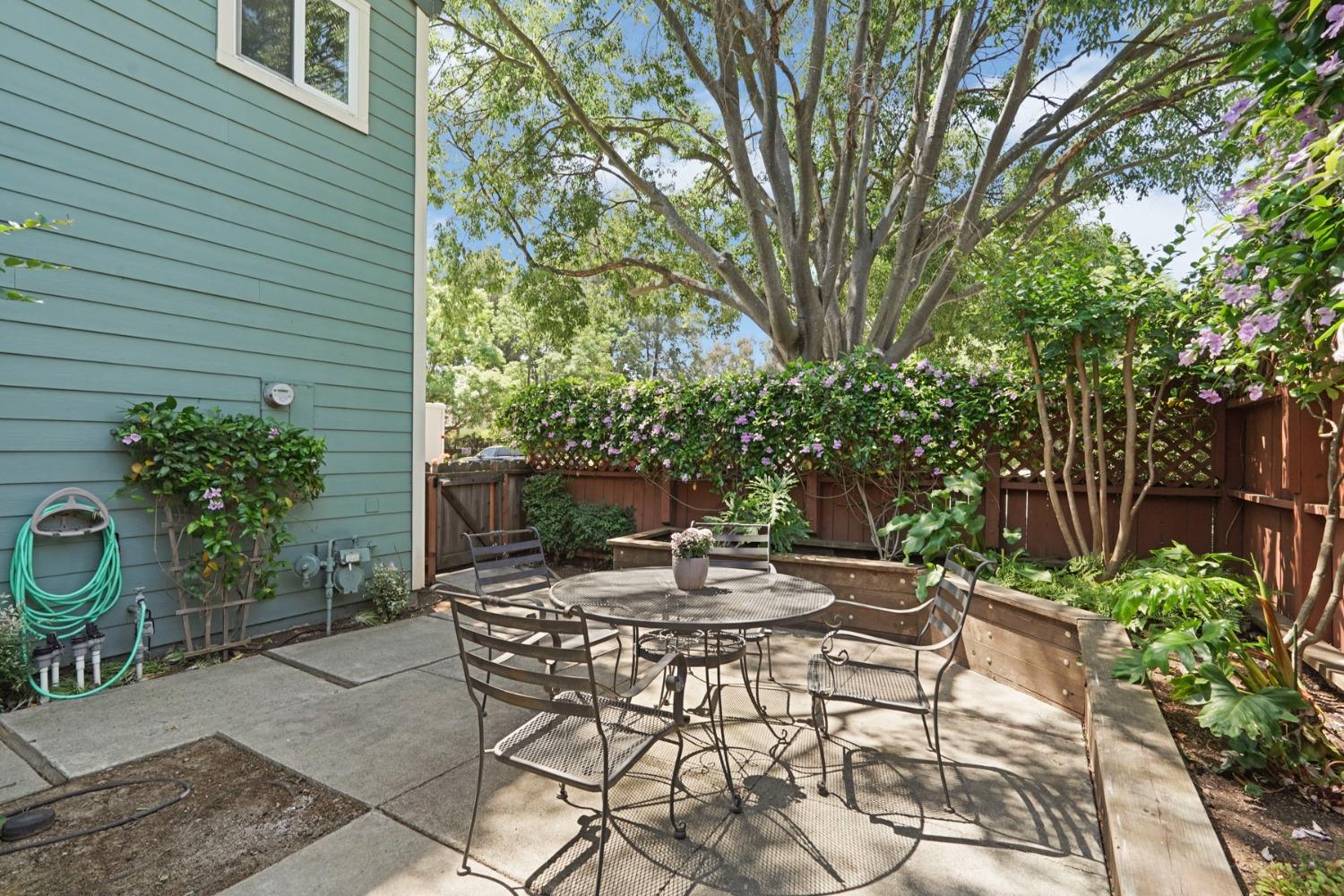 Renoir Avenue, Davis, California image 7