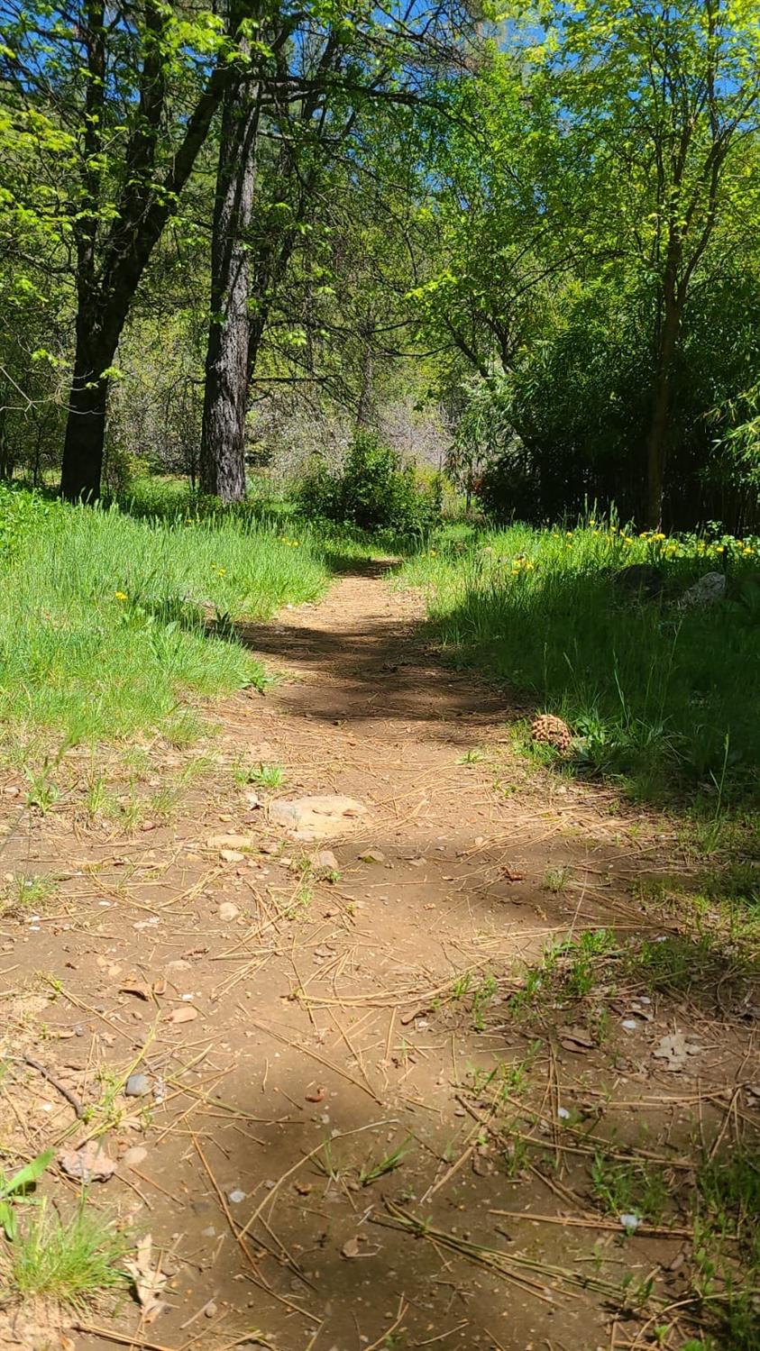 Detail Gallery Image 35 of 39 For Address Is Not Disclosed, Nevada City,  CA 95959 - – Beds | – Baths