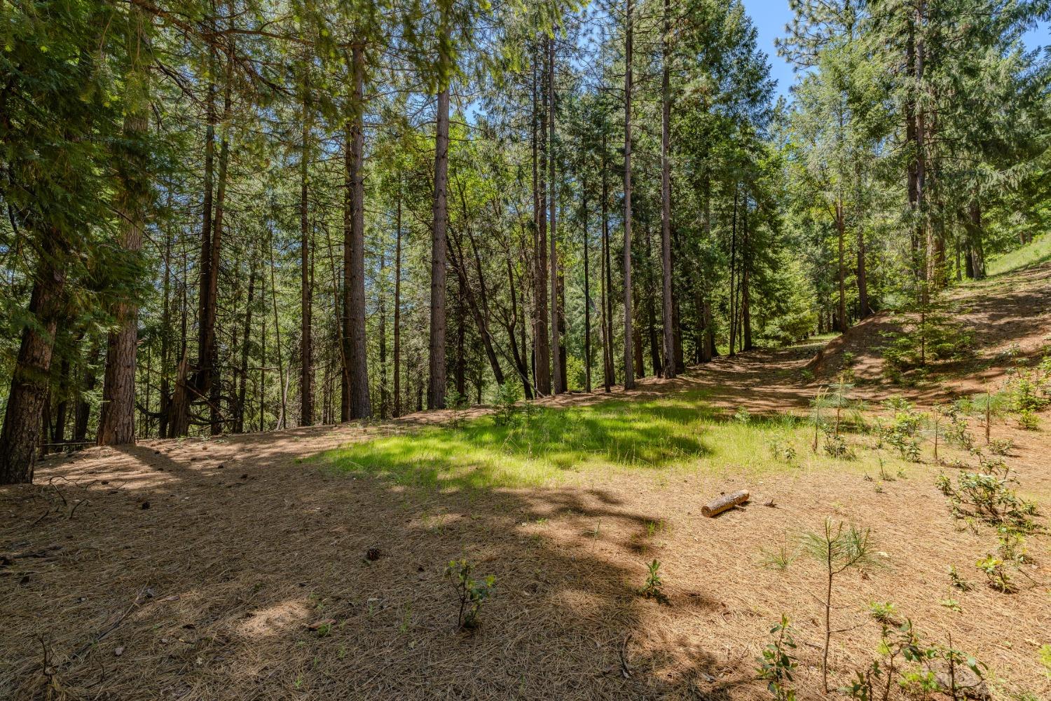 Detail Gallery Image 61 of 66 For 18720 Circle View Dr, Pioneer,  CA 95666 - 3 Beds | 3 Baths