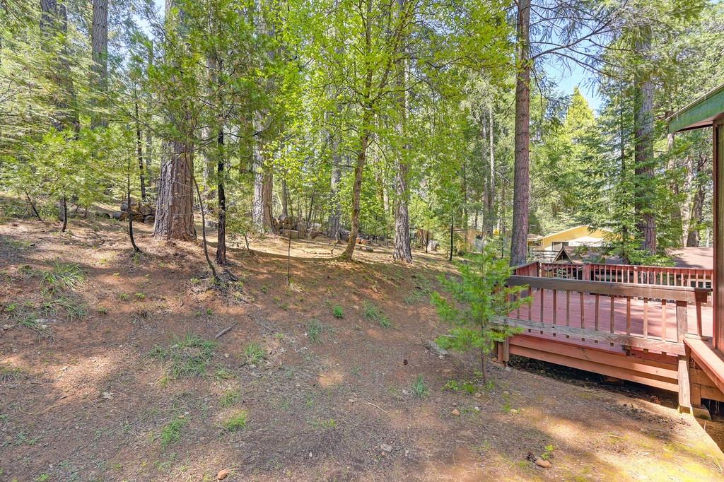 Fawn Drive, Pollock Pines, California image 37