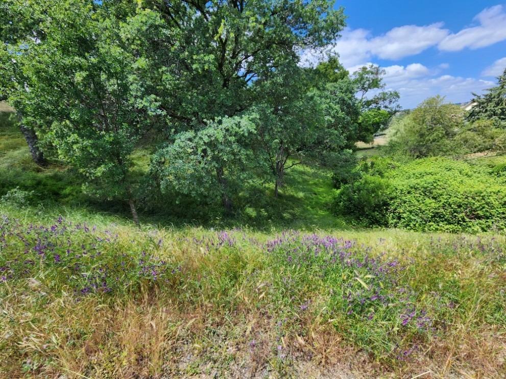 Detail Gallery Image 5 of 7 For 2922 Cascade Ln, Valley Springs,  CA 95252 - – Beds | – Baths